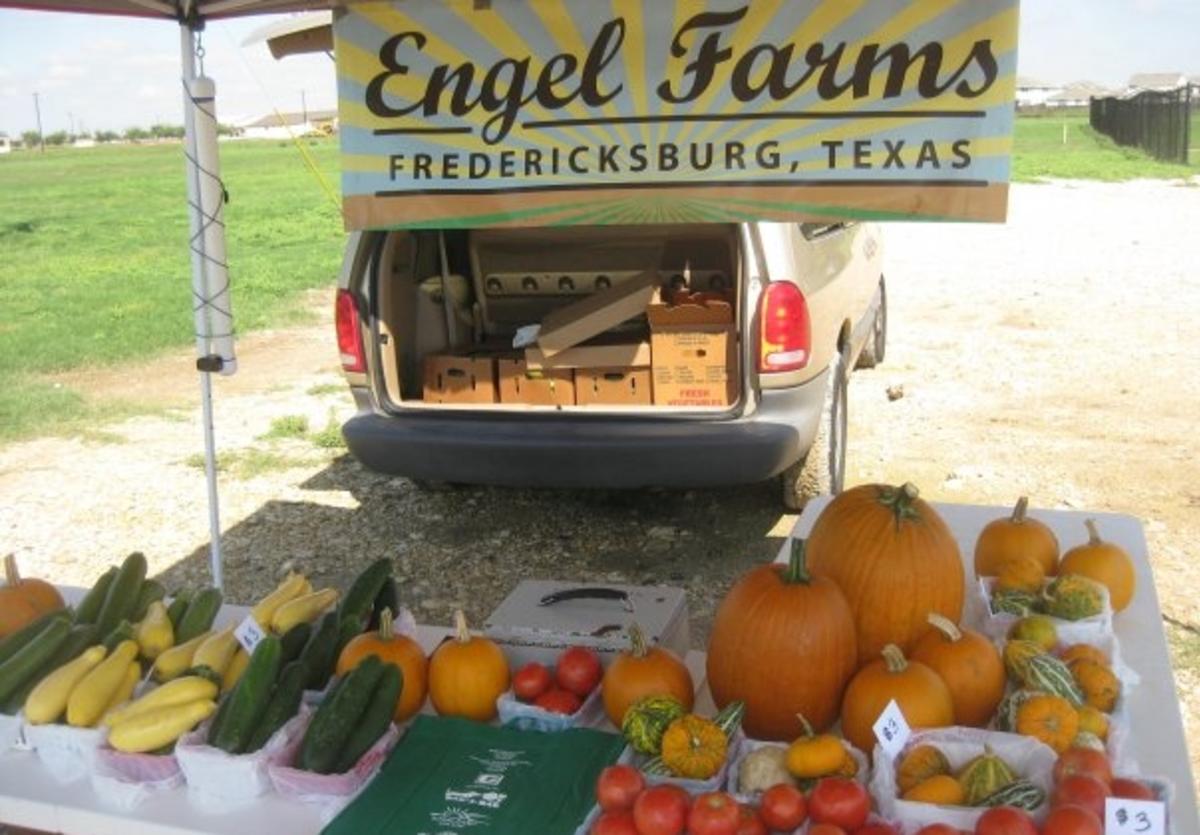 Engel Orchards