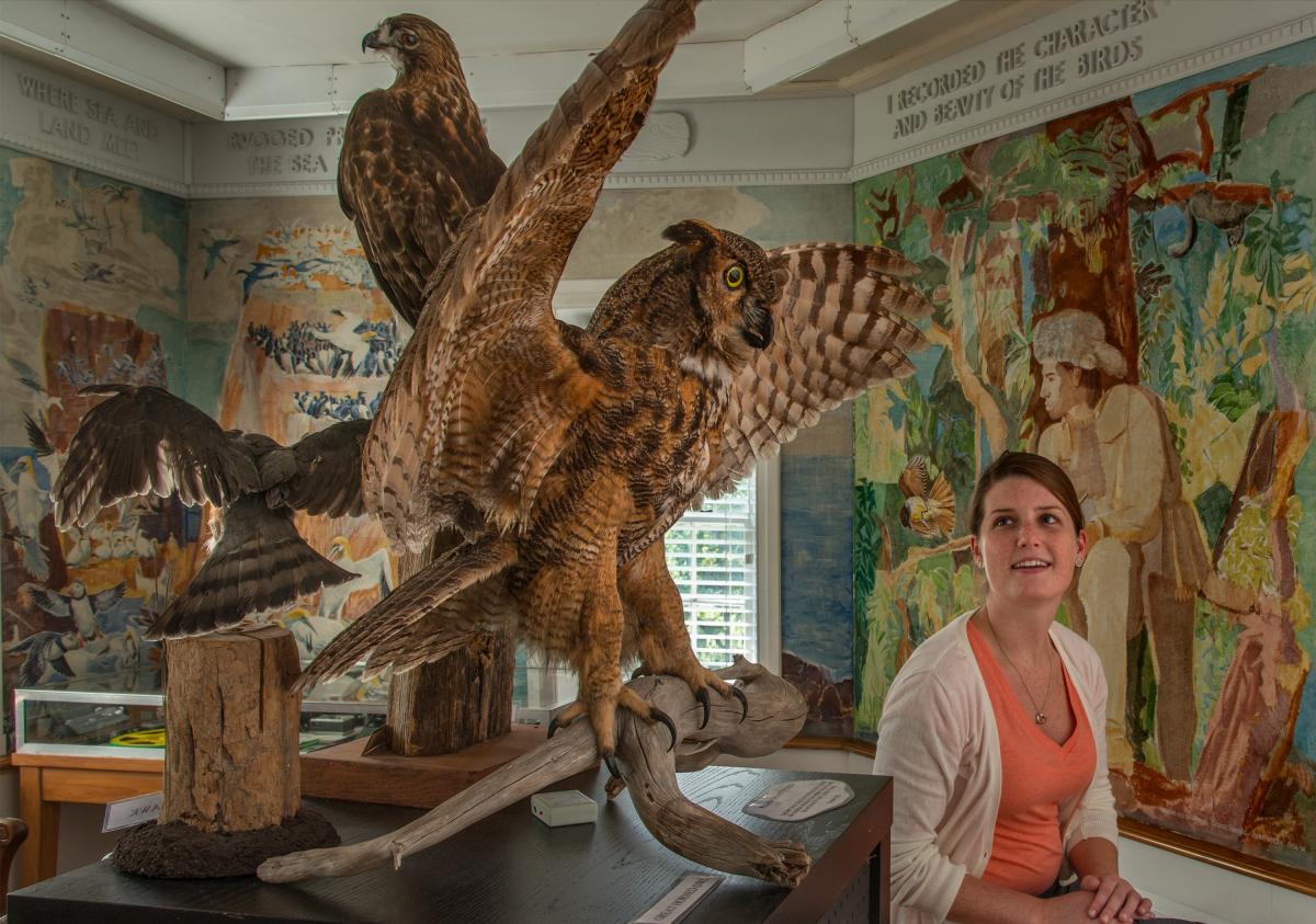 Museums