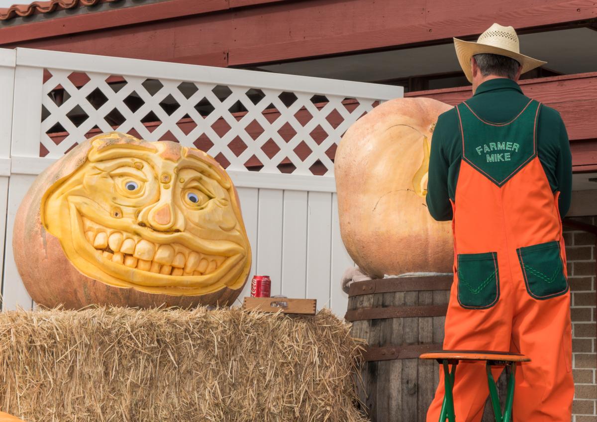 Pumpkin Festival 2017