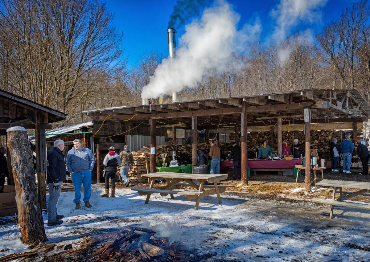 Baer Brothers Maple Camp