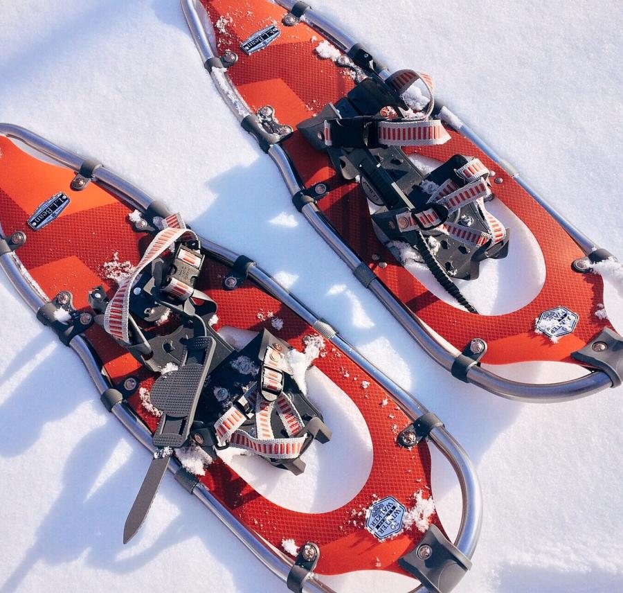 Snowshoes Stock