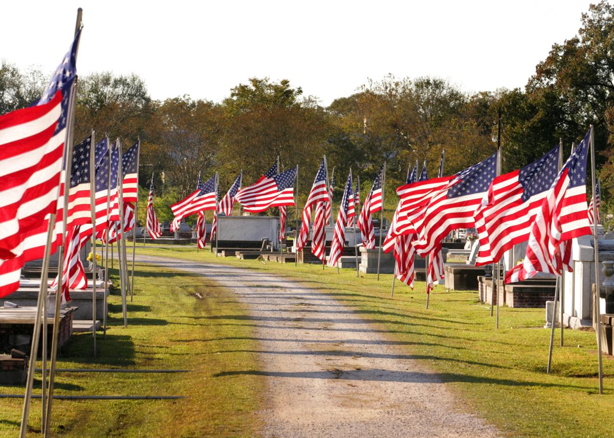 Memorial Flags Lined Along Drive at Avenue of Flags