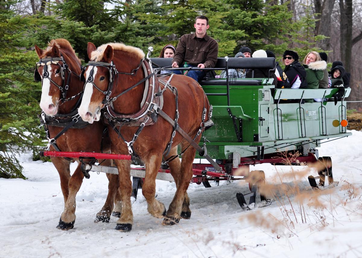 Laurel Highlands Sleigh Ride