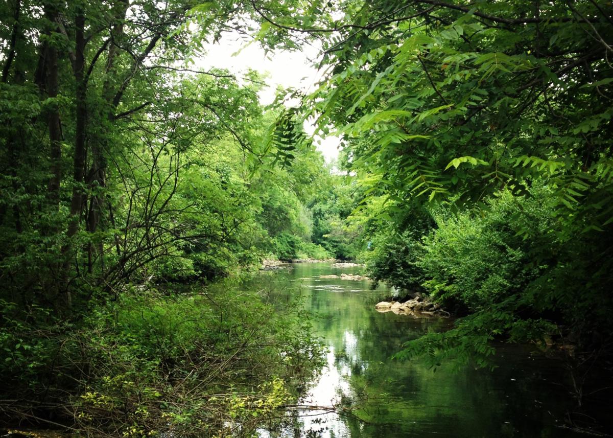 LeTort Spring Run Nature Trail