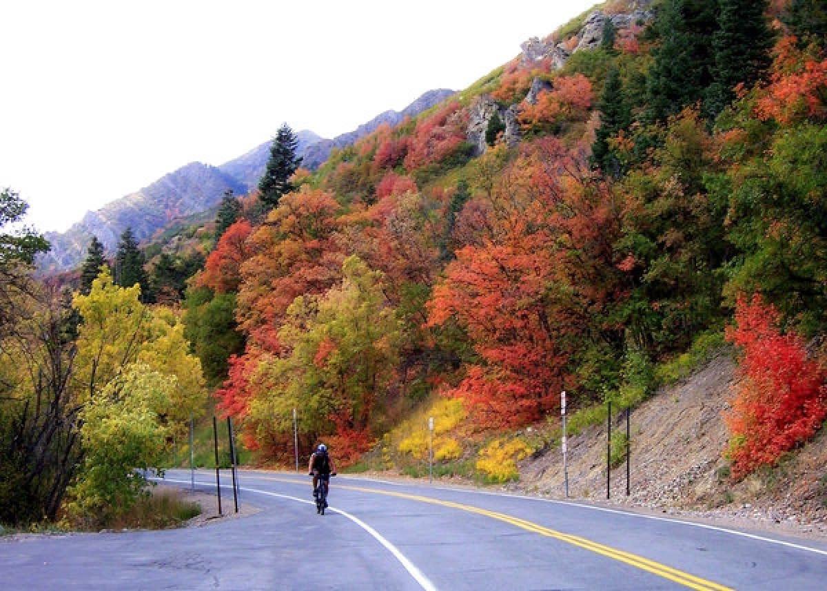 Drive or bike and take in the sights of Millcreek Canyon