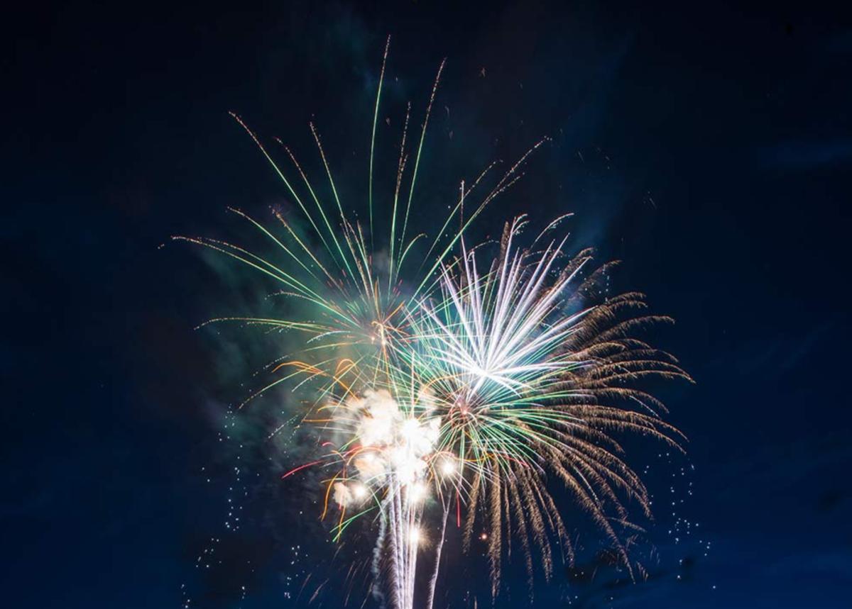 Copy of City-Park-fireworks-02---Credit-Richard-Haro-2016