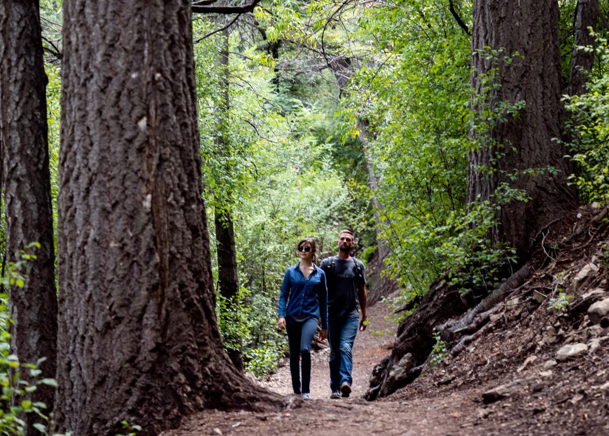 Lincoln National Forest