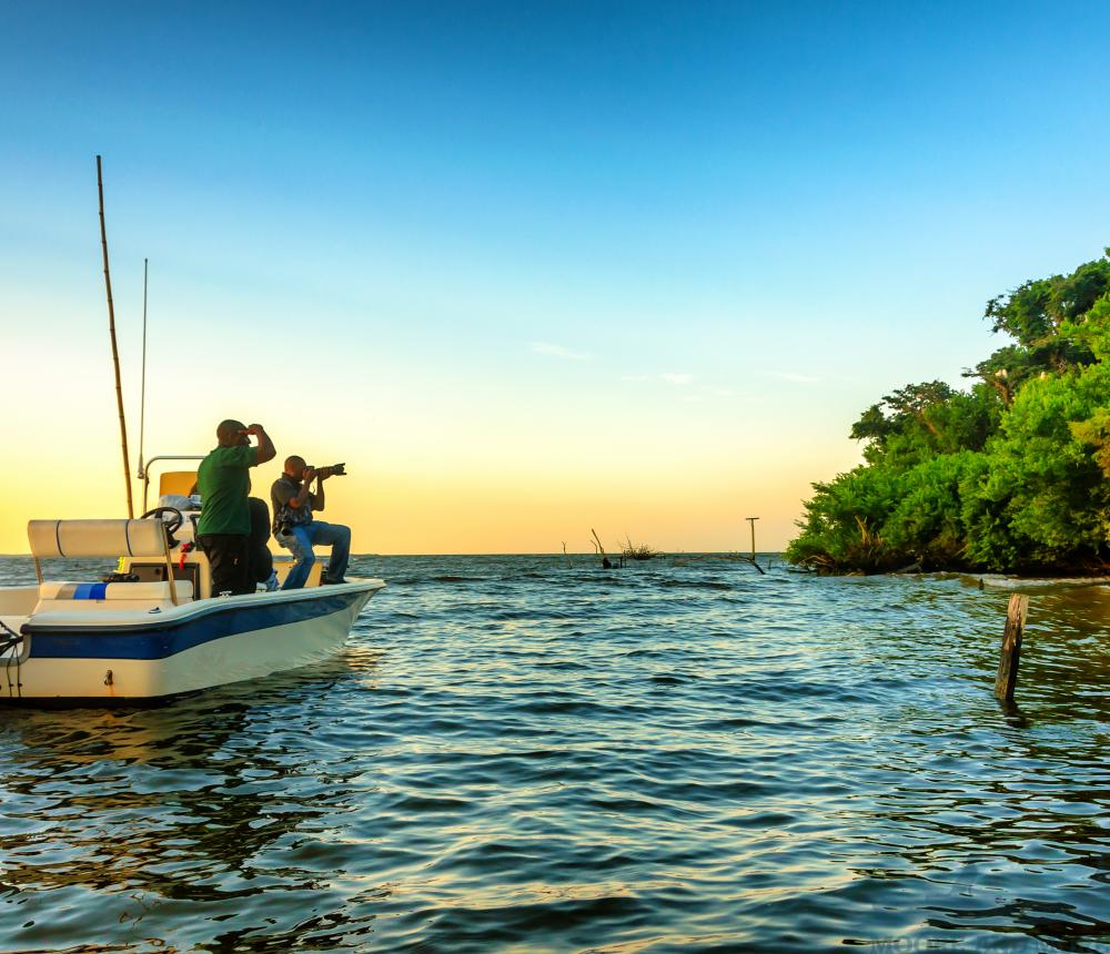 Monkey Island Tour