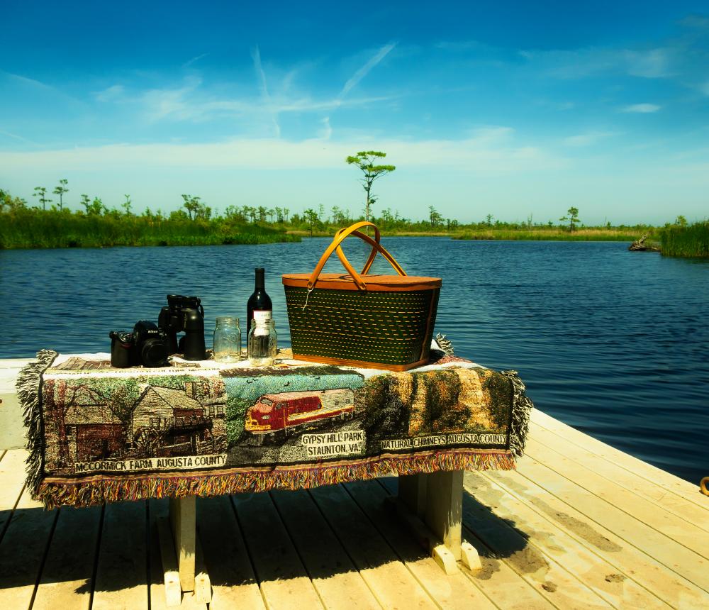 Picnic on the River!