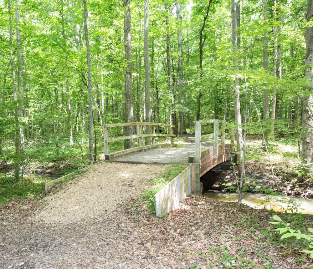 West Neck Creek Natural Area