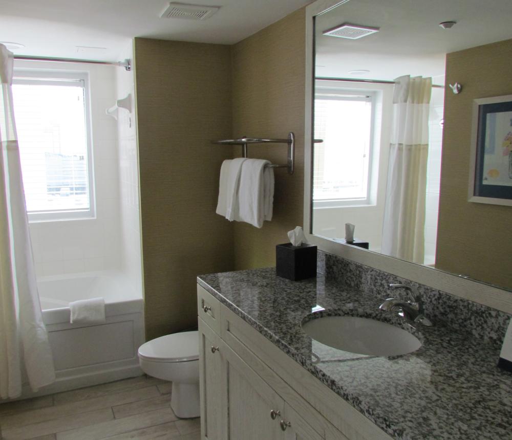 1 Bedroom Suite