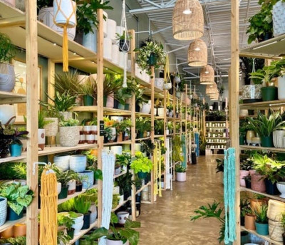 Planthouse1