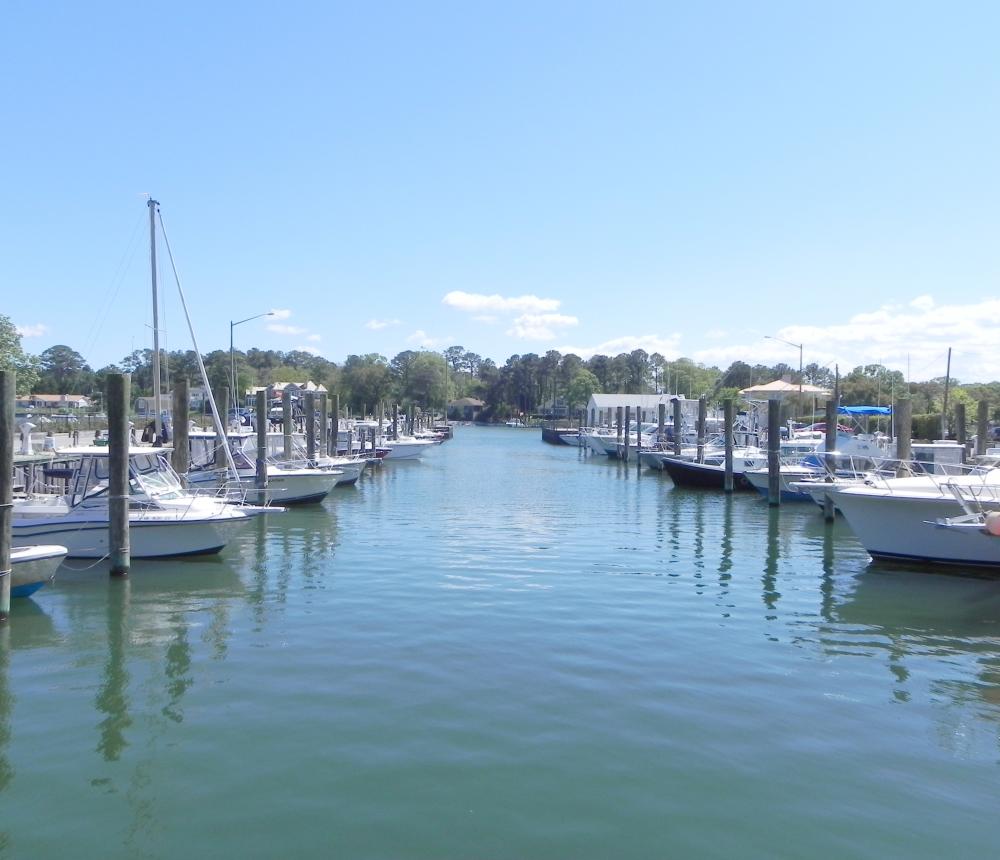 ??Lynnhaven Marina