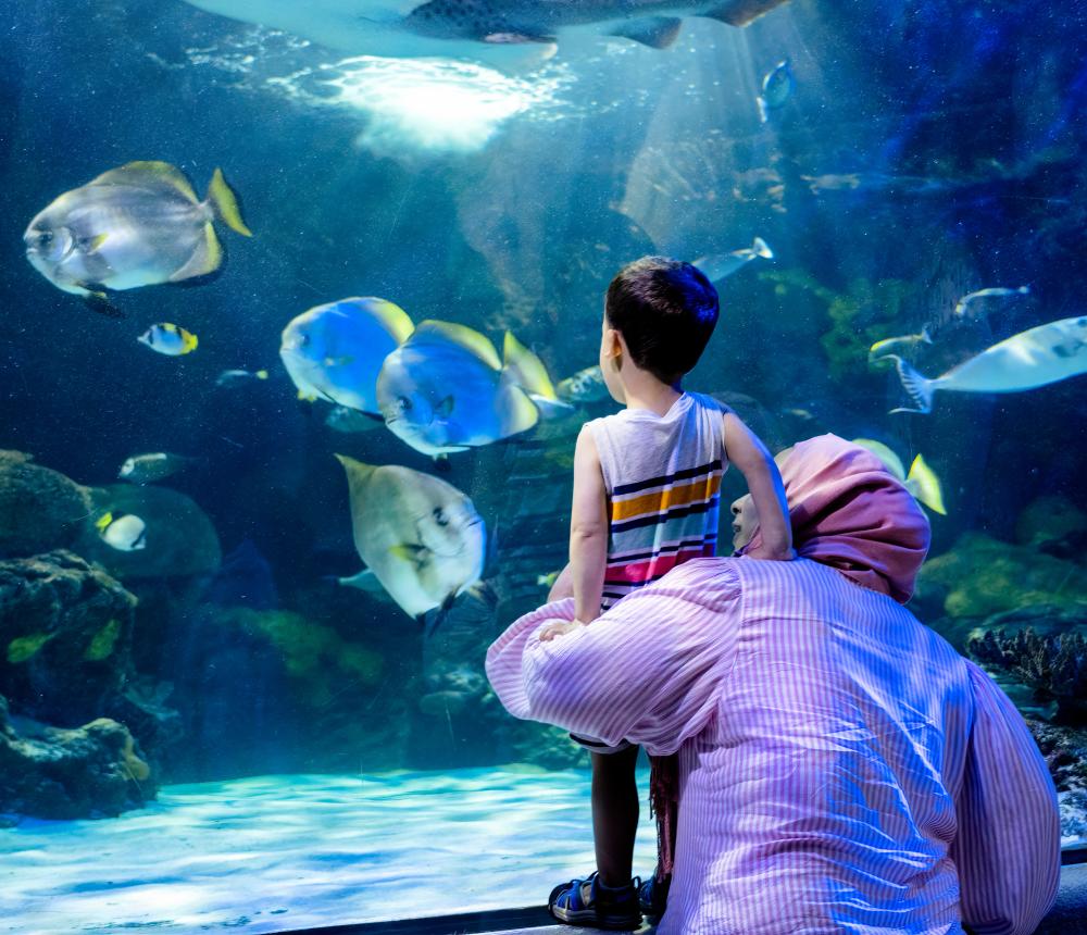 Kid/Parent Big AQUARIUM