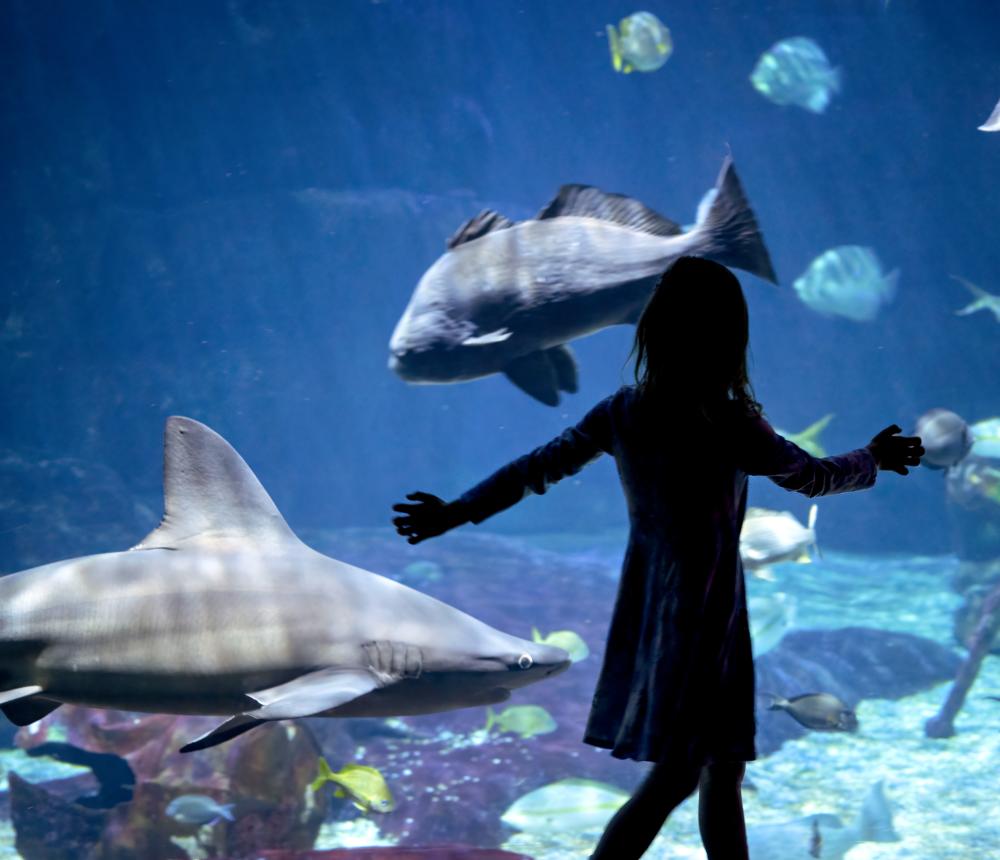 girl - big aquarium