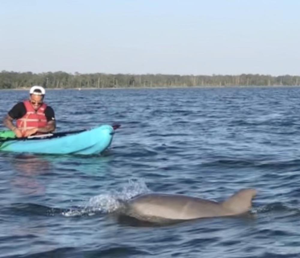 dolphin tours Virginia Beach