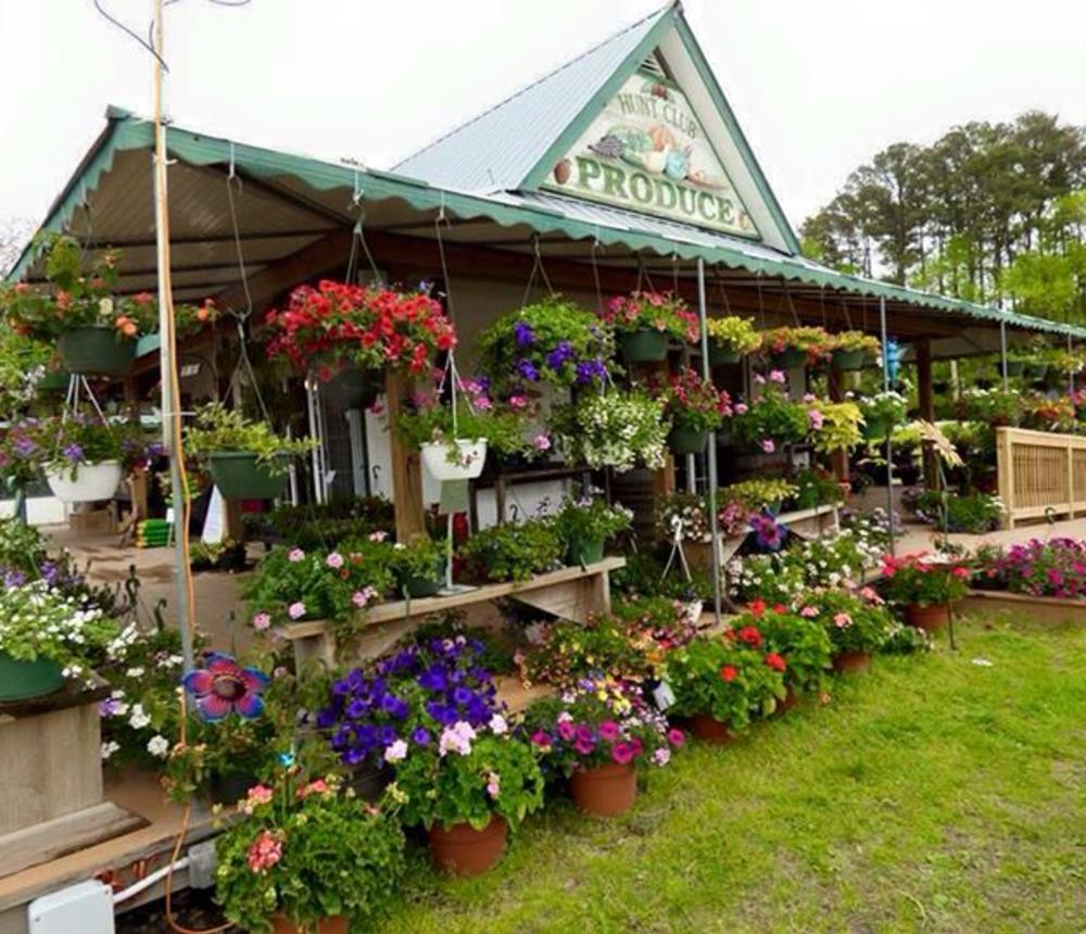 Farm Market
