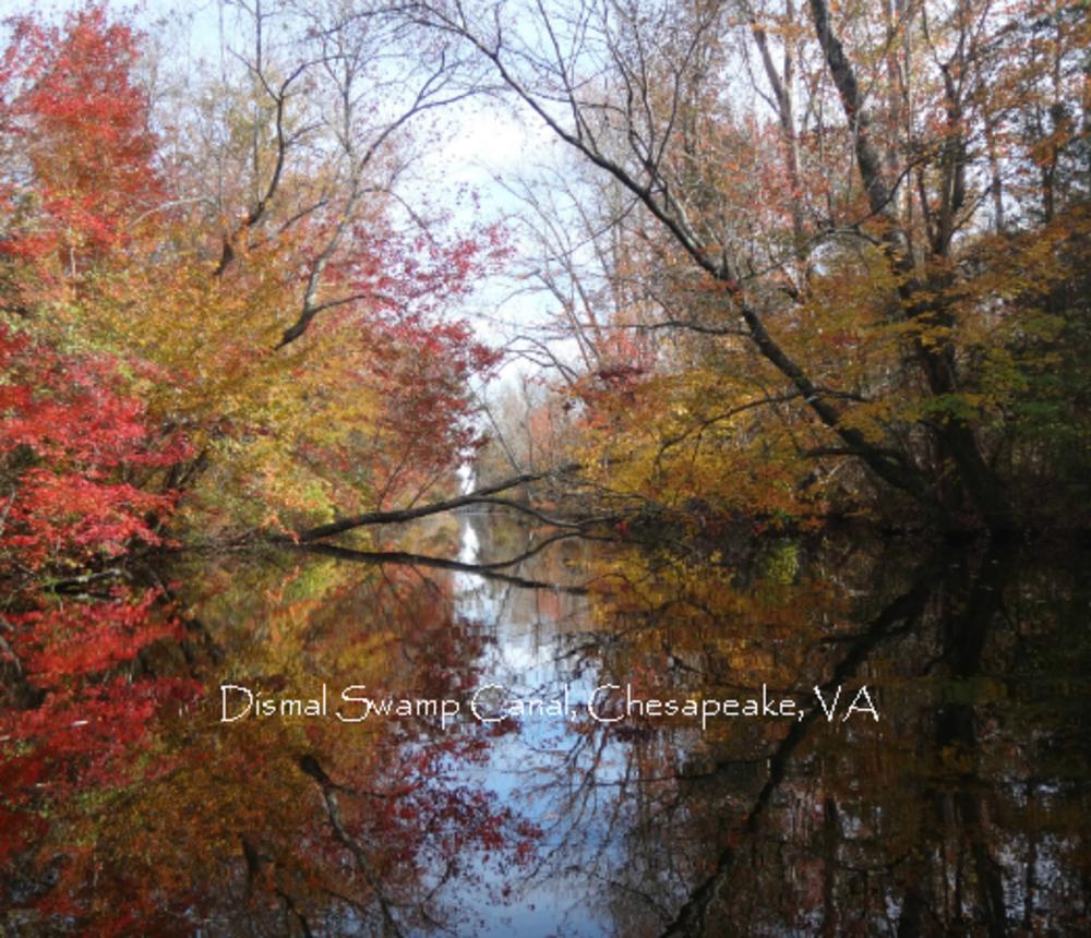 Fall_Leaves_Dismal_Swamp_Canal-5600.jpg