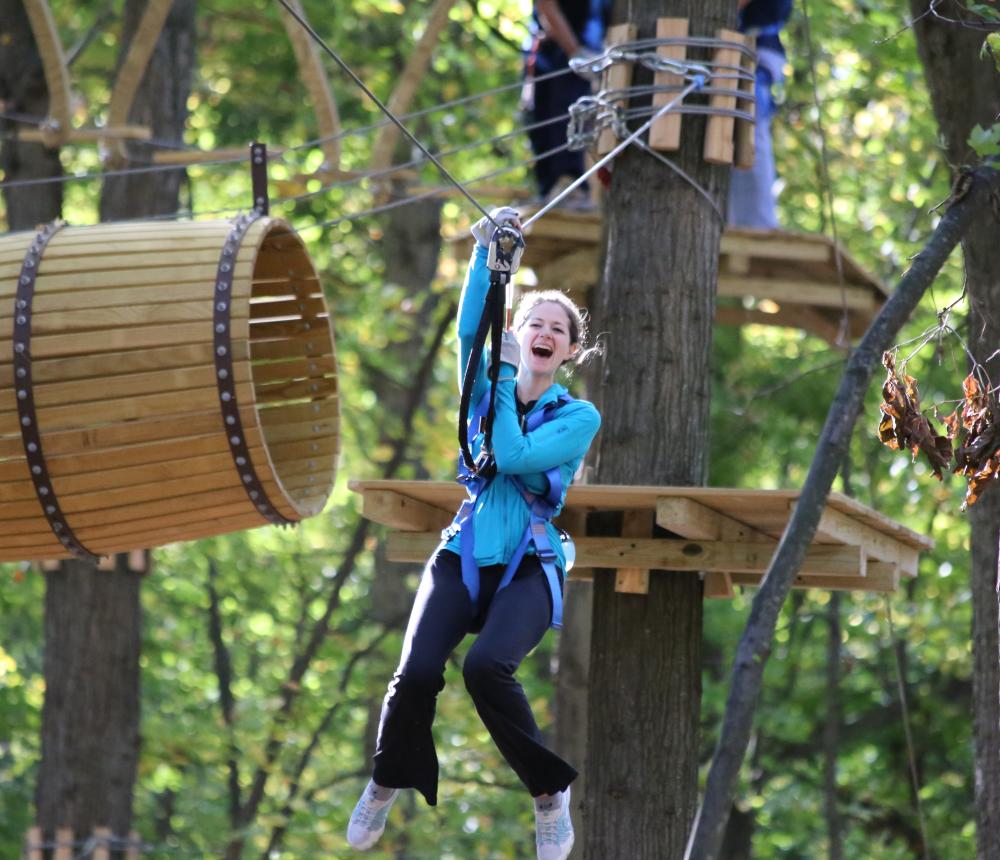 Fun in the Trees 2