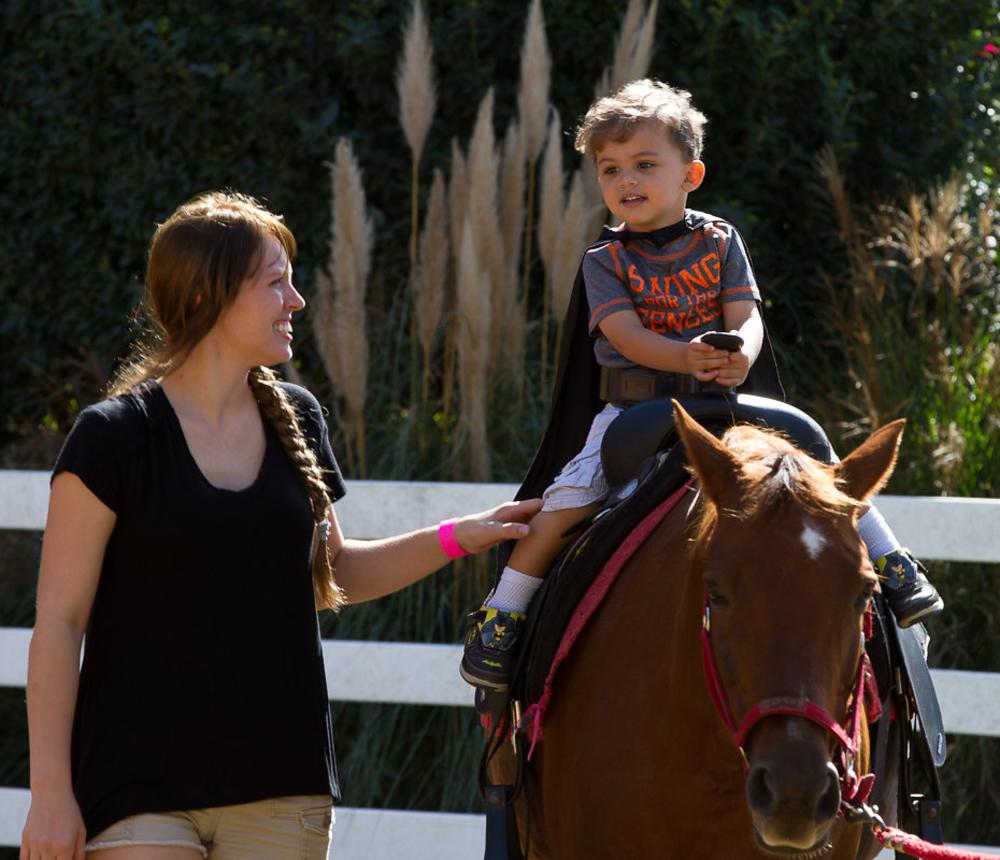 Pony Rides