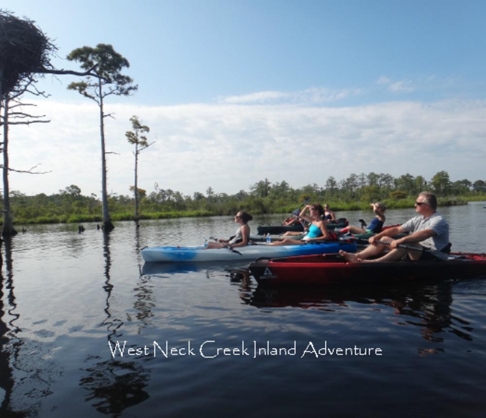 West_Neck_Creek_Inland_Adventure-56001.jpg