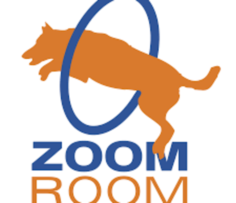 zoomroom.png
