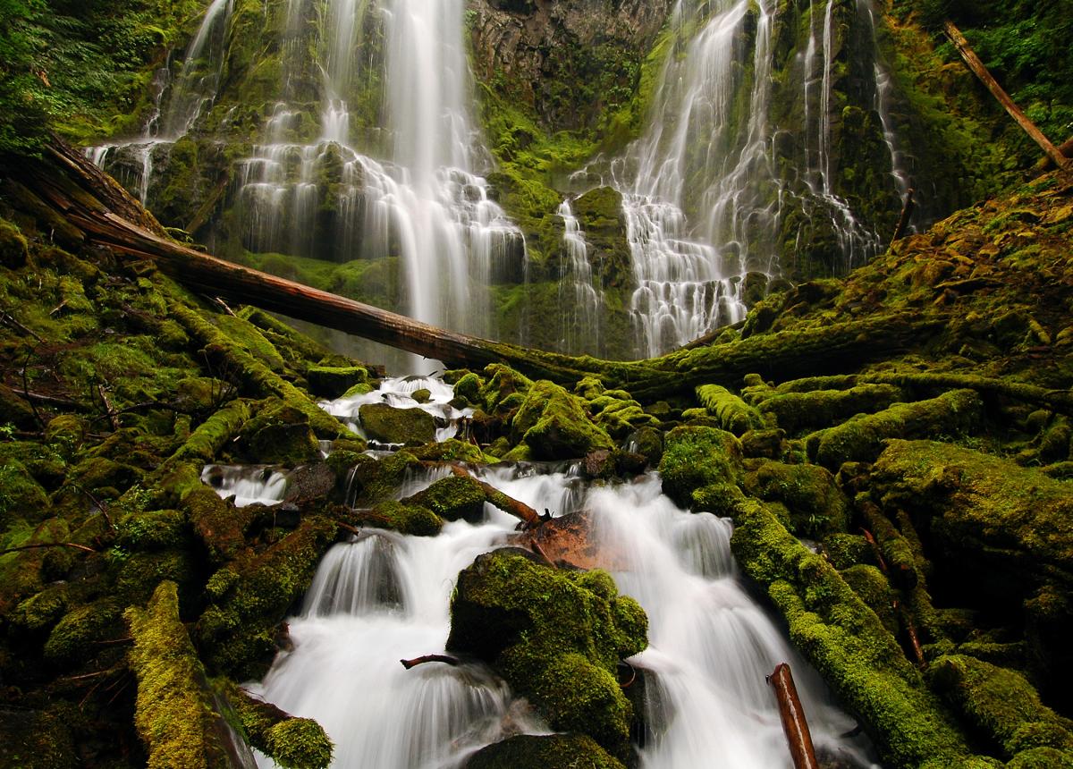 Proxy Falls in McKenzie River Region by Greg Lief Proxy Falls in McKenzie River Region by Greg Lief