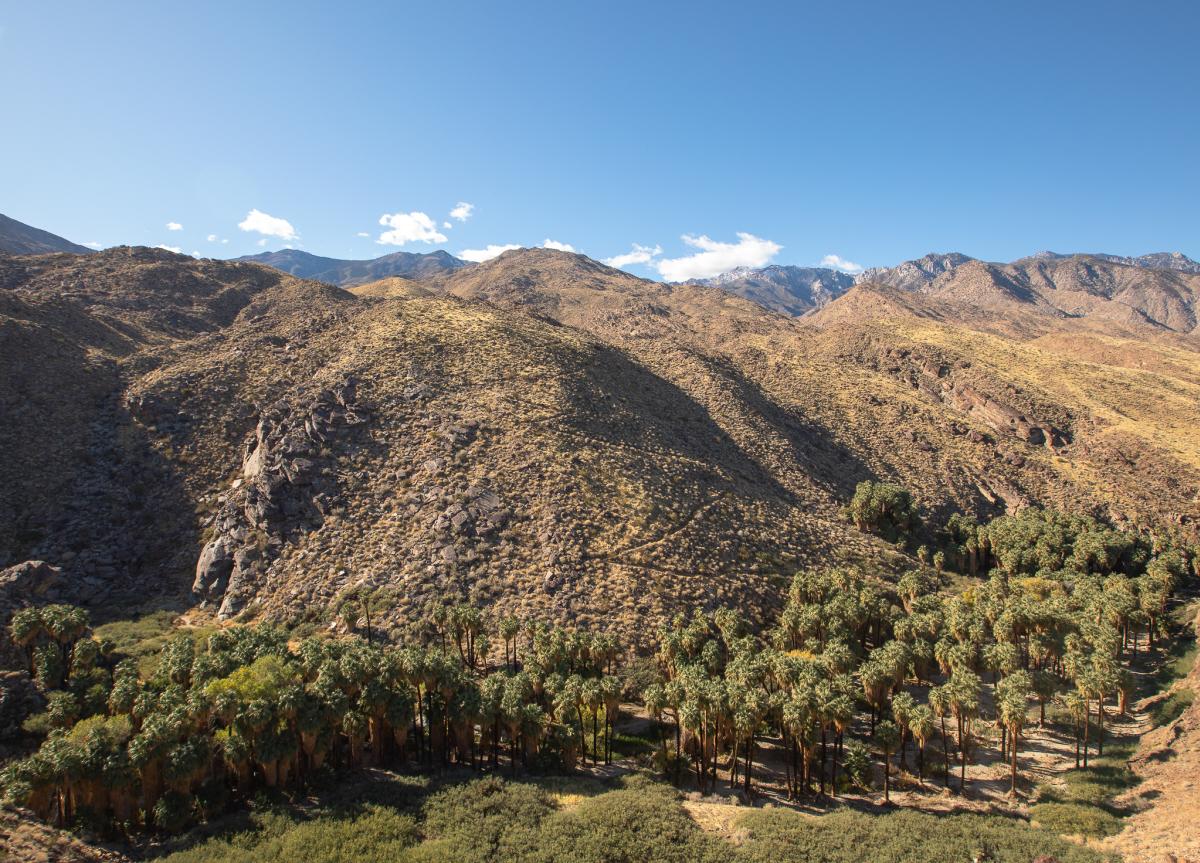 Switchbacks on the West Fork Trail in Indian Canyons