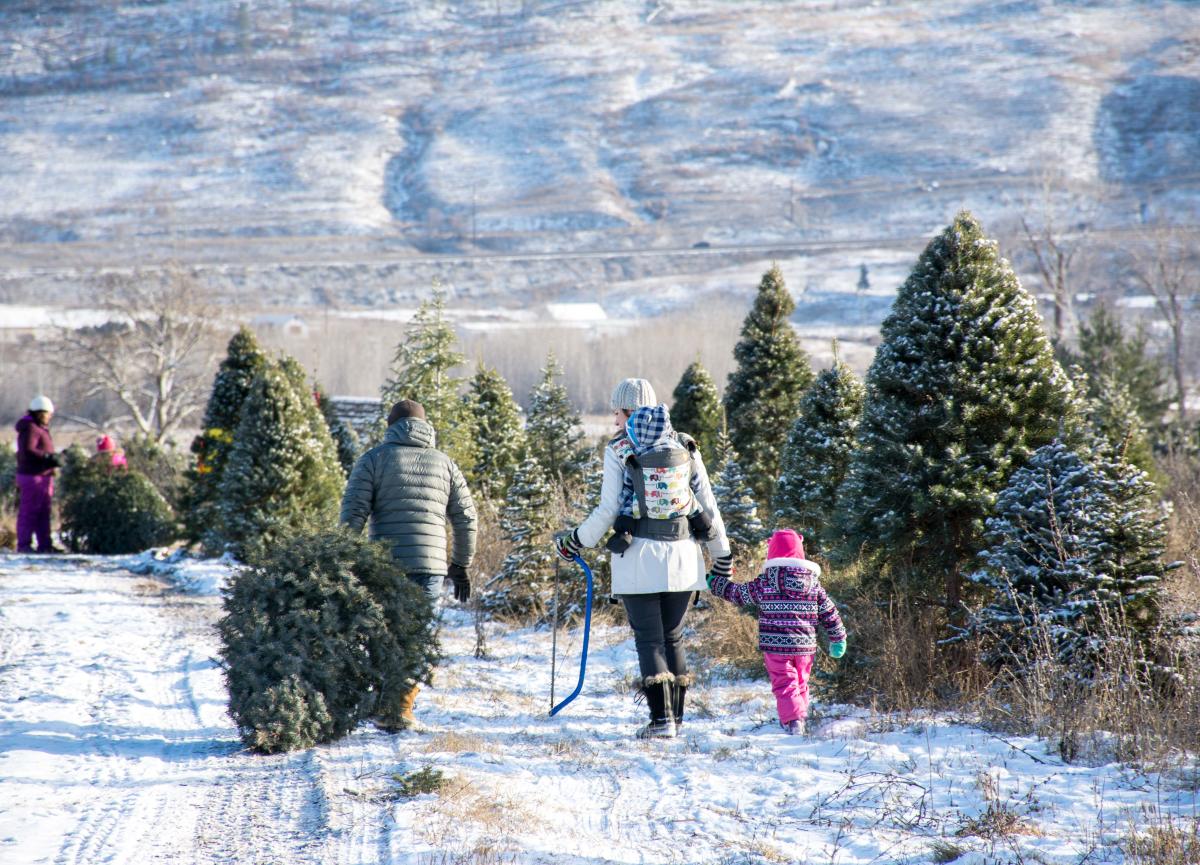Top 4 Things to Do this December in Kamloops, BC