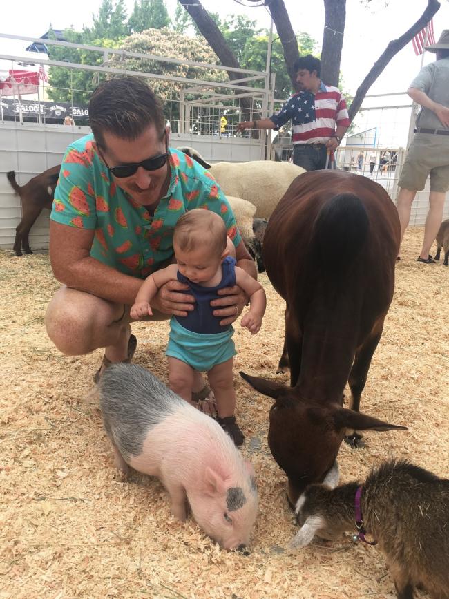 CA State Fair petting zoo