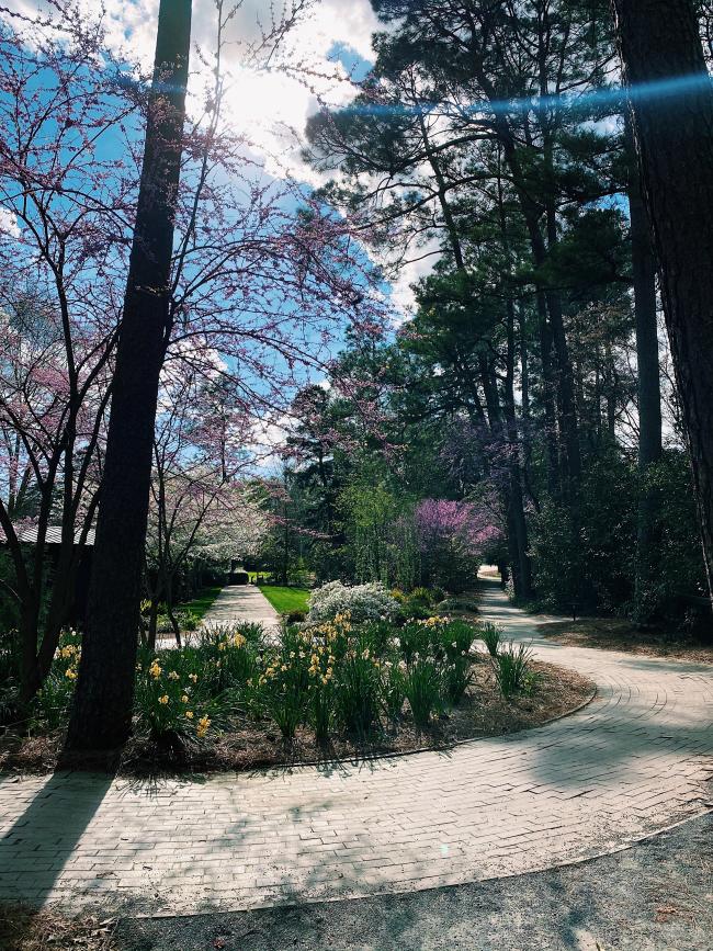 glencairn garden