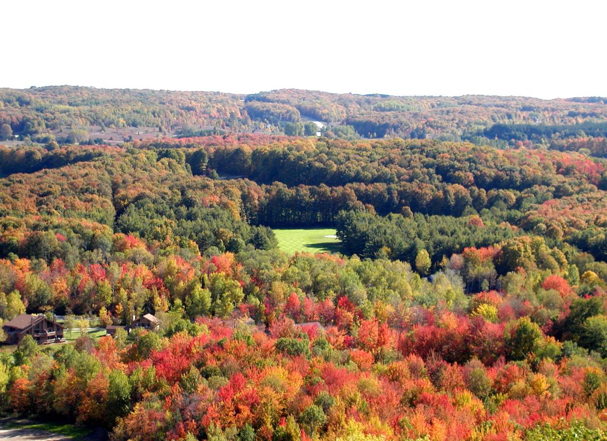 Best Spots for Fall Color Traverse City, MI