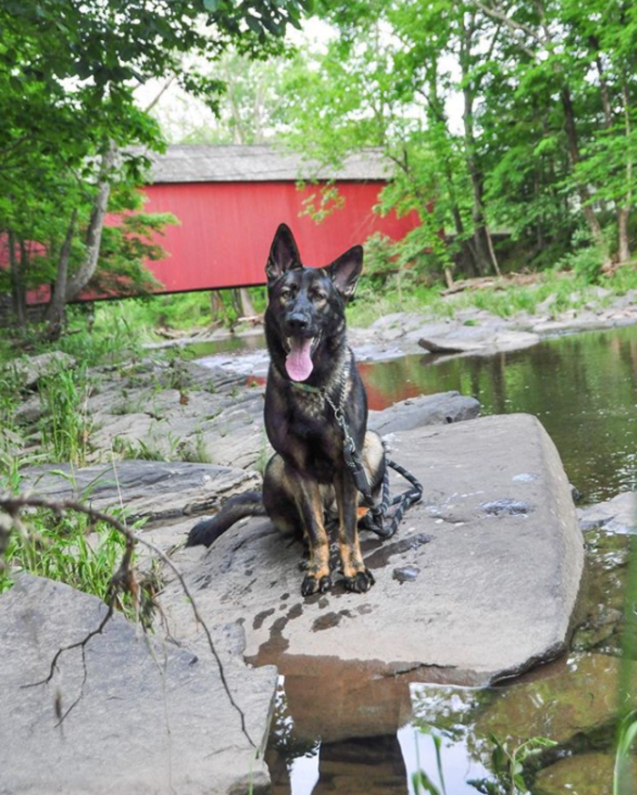 Top 15 Instagrammable Places in Bucks County