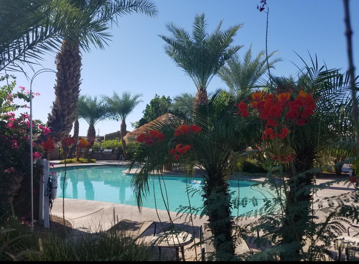 Palms River Resort in Needles, California