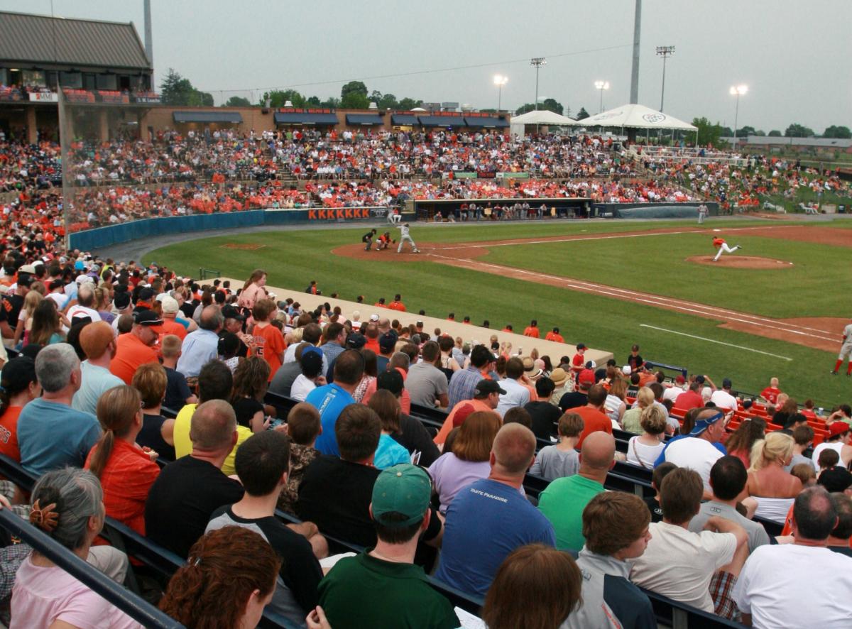 Frederick Keys crowd watching the baseball game 