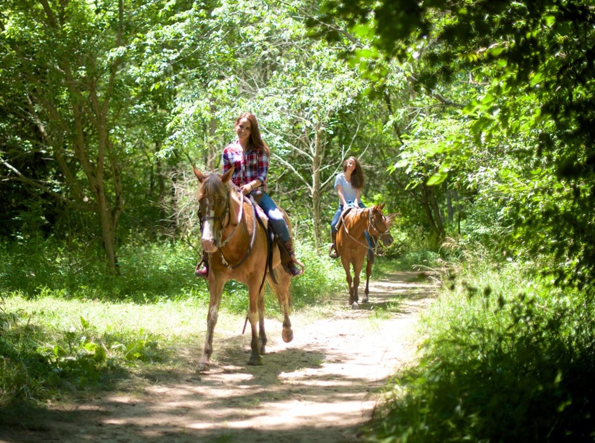 Natural Valley Ranch horseback ride