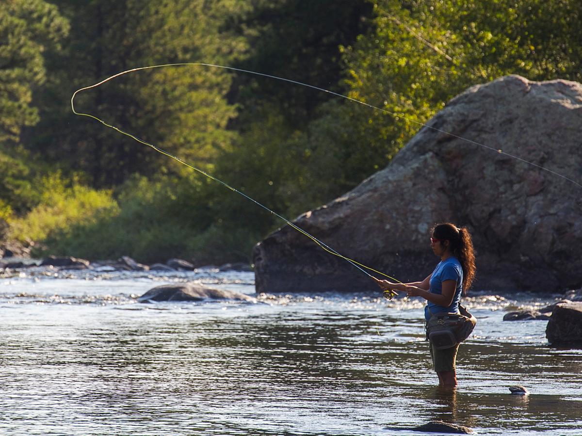 Best Ways to Cool Off in Fort Collins