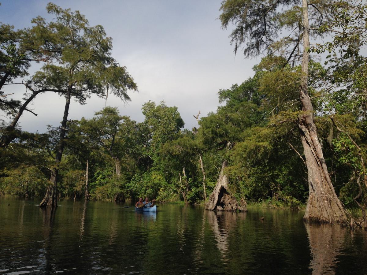 Kayaking in Beaumont