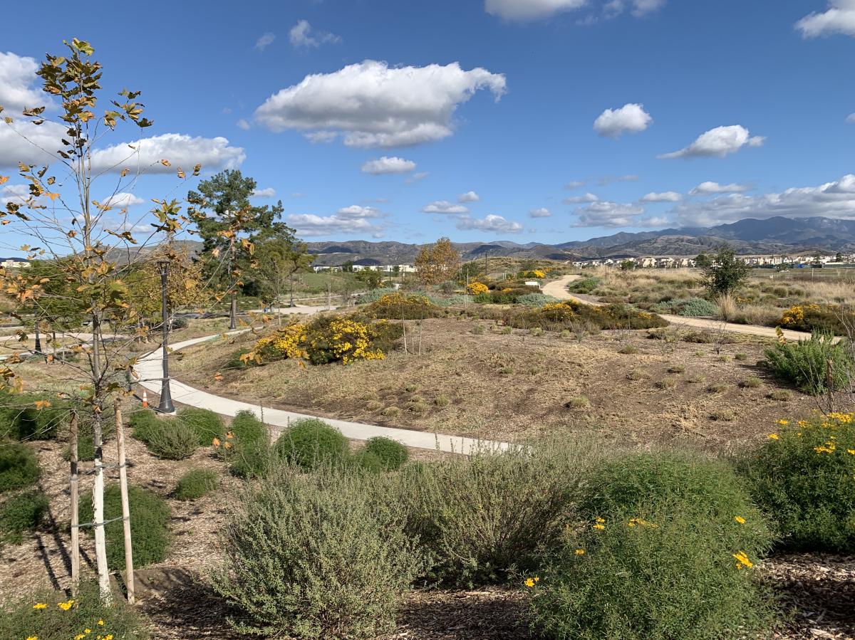 Explore The New Bosque Trail At The Great Park A Pedestrian And Bike Friendly Path