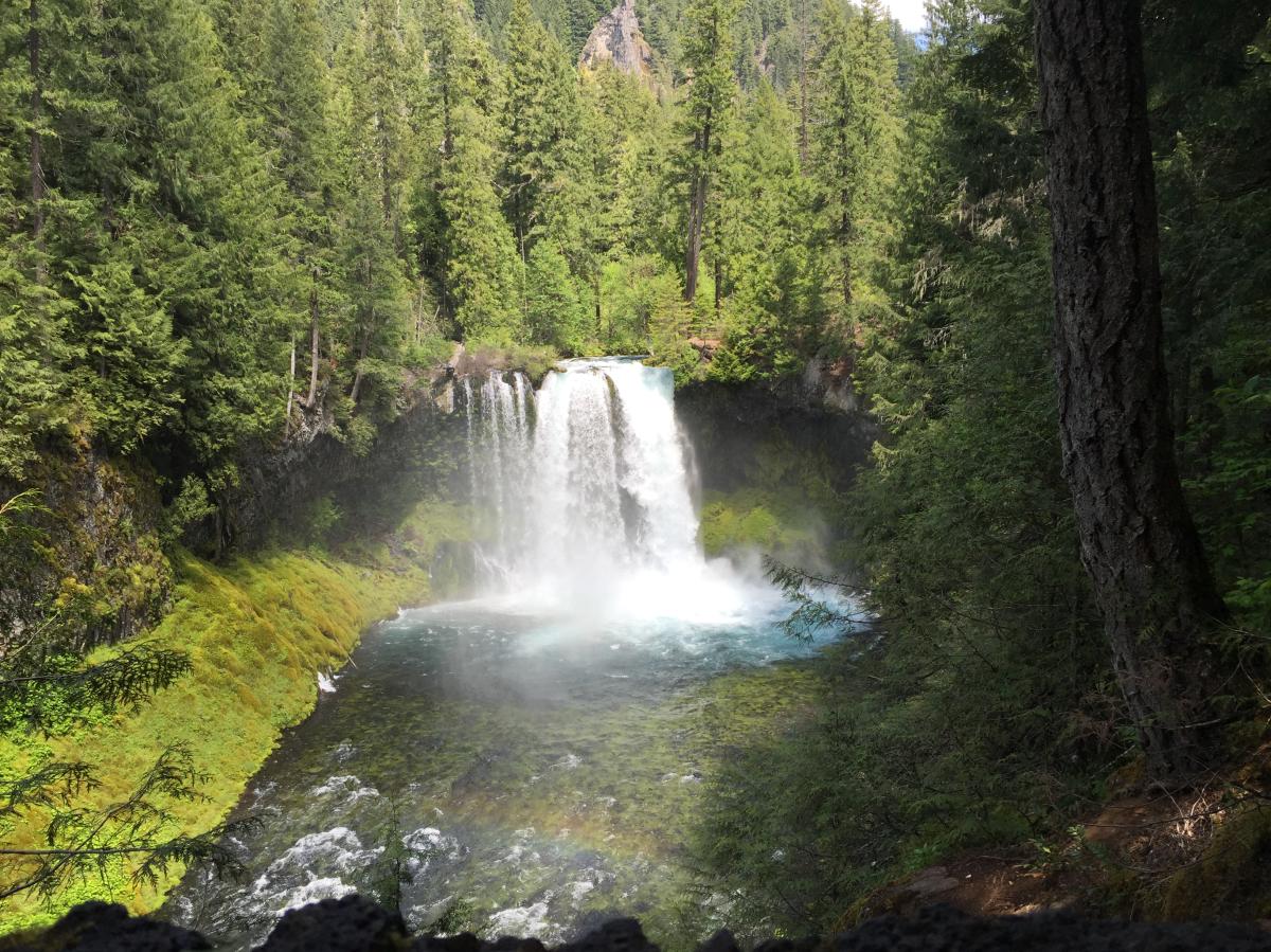 Go McKenzie River Waterfalls Eugene, Cascades & Oregon Coast