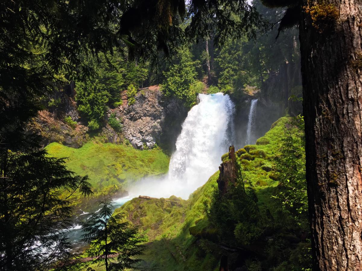 Sahalie Waterfall, McKenzie River by Sally McAleer