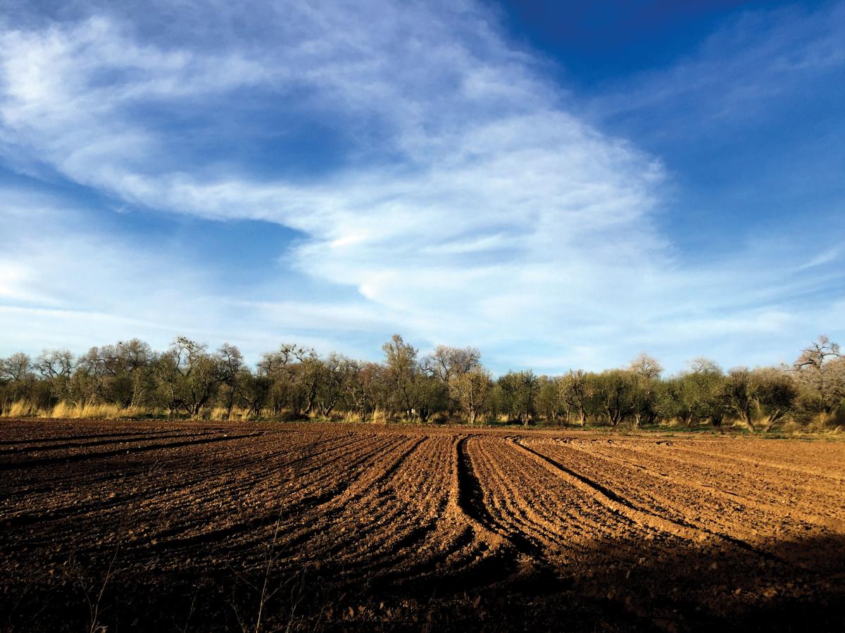 Life in Corrales, small town farming