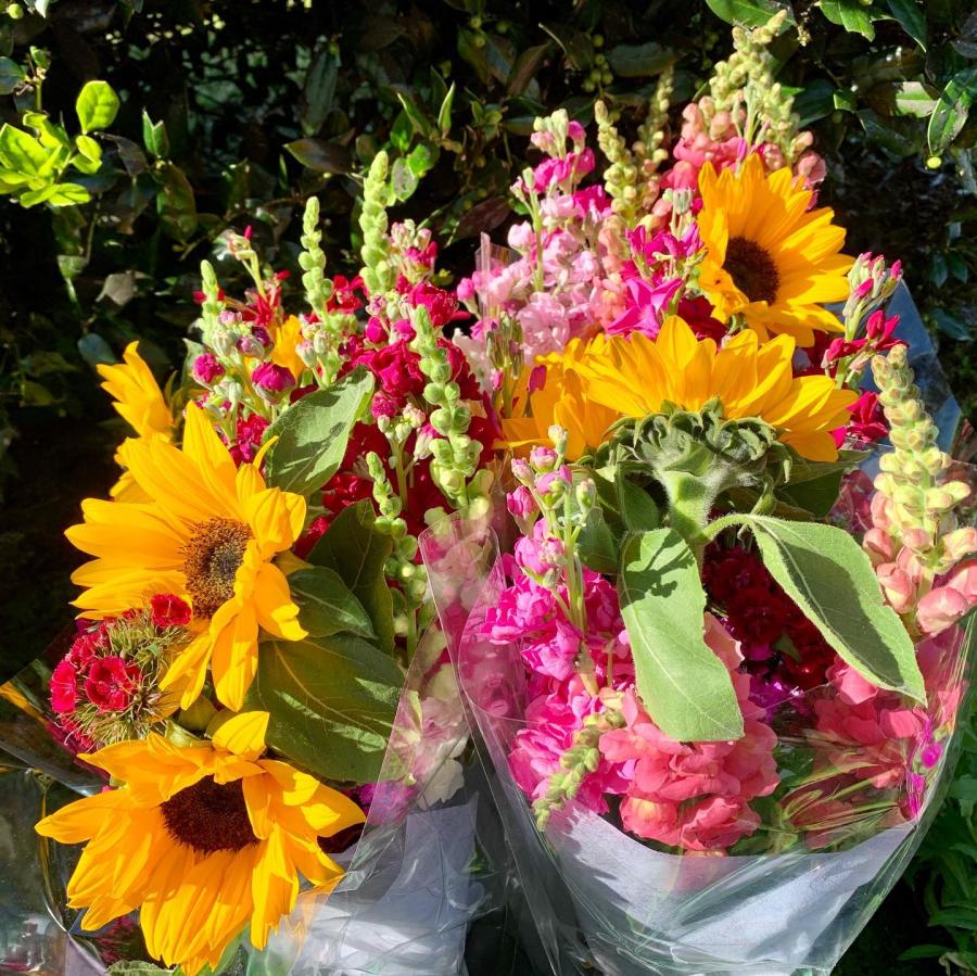 Fresh flowers at West End Farmers Market