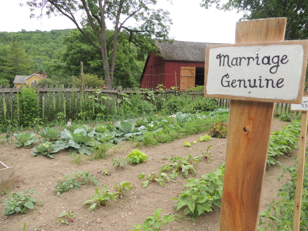 Garden Fresh in the Pocono Mountains