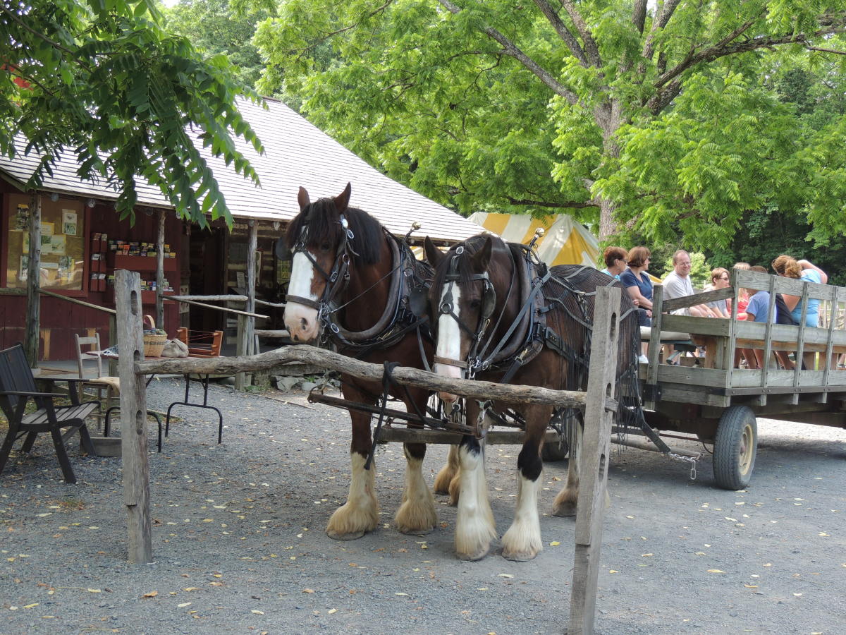 Take a Wagon Ride at Quiet Valley