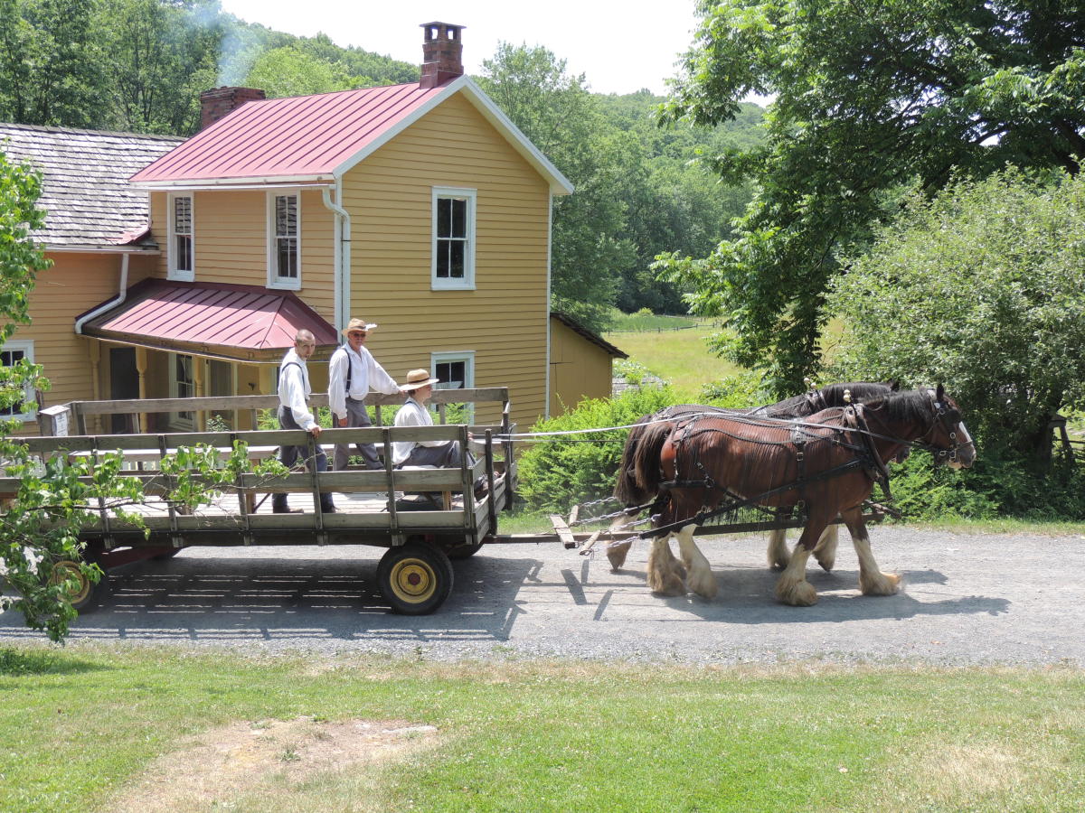 Horse-Drawn Wagon Ride past the Farmhouse at Quiet Valley