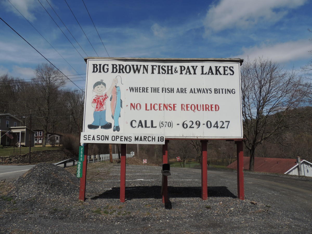 Your Guide to Fishing in the Poconos Info on Lakes & Licenses