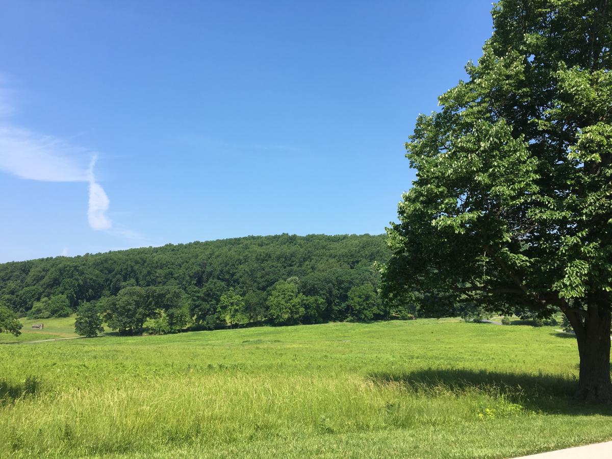 A view of Mounty Joy at Valley Forge National Historical Park