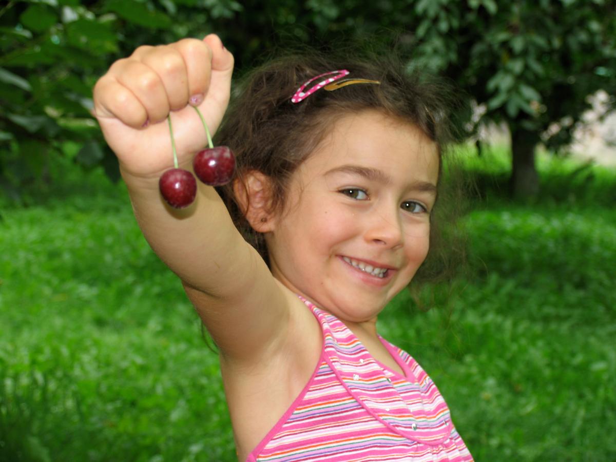 Cam Holds Cherries