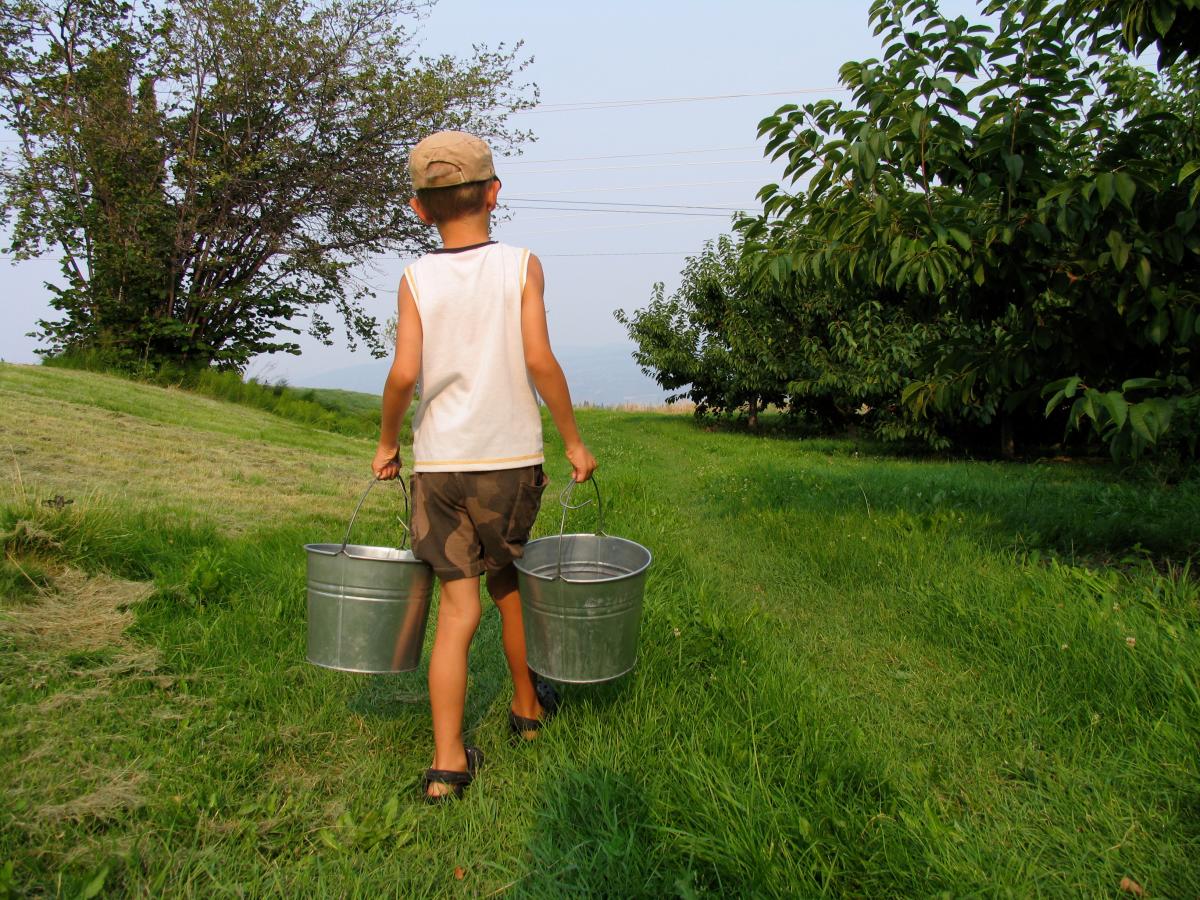 Cherry Picking